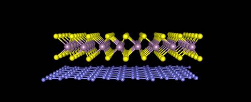 Physicists bind single-atom sheets with the same force geckos use to climb walls