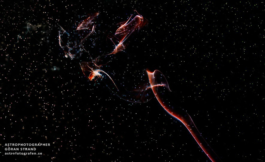 Smoke Nebula (3)