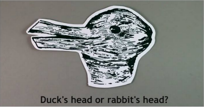 duck rabbit optical illusion
