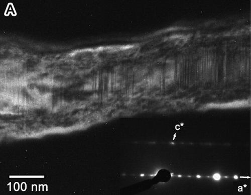 Dust From A Comet Has Been Discovered For The First Time On The Earth’s Surface
