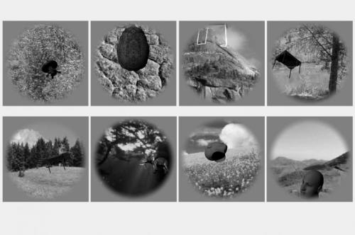 Newest computer neural networks can identify visual objects as well as the primate brain
