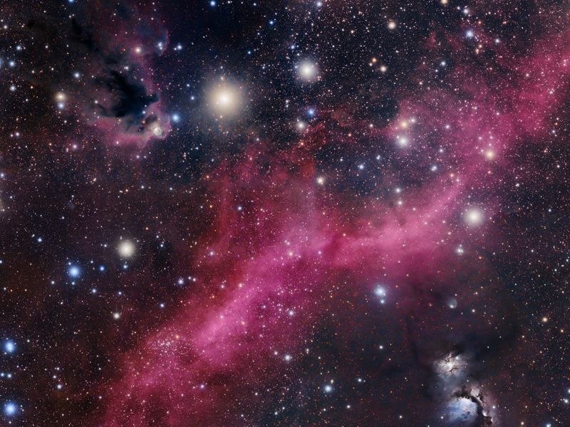 Image Credit: Alistair Symon