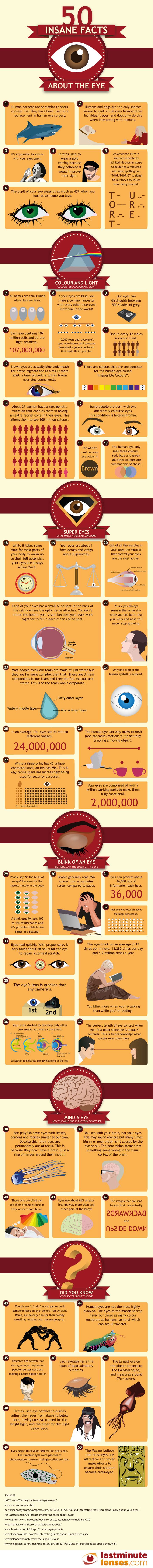 eye facts