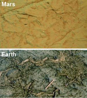 Comparison of cracks in Gillespie Lake outcrop on Mars and in a modern microbial mat in Bahar Alouane, Tunisia. Credit: Mars image: NASA; Earth image: Nora Noffke
