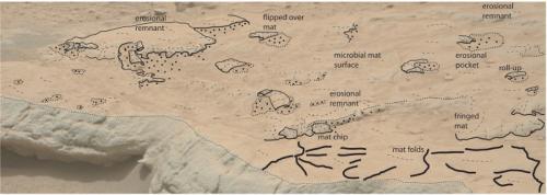Overlay of sketch on photograph from above to assist in the identification of the structures on the rock bed surface. Image credit: Noffke (2105). Credit: ASTROBIOLOGY, published by Mary Ann Liebert, Inc.