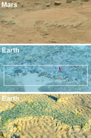 Potential MISS erosional remnant on Mars (top); edge of a microbial mat–overgrown erosional remnant on Portsmouth Island, USA (middle); erosional remnant of a modern MISS on Mellum Island, Germany (bottom). Credit: Mars: NASA; Earth: Nora Noffke Read more at: http://phys.org/news/2015-01-potential-ancient-life-mars-rover.html#jCp