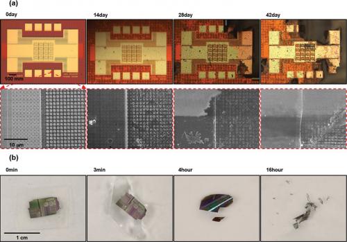 Water-soluble silicon leads to dissolvable electronics