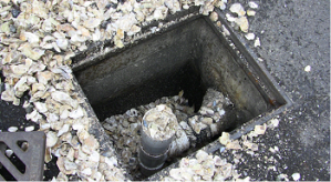 Oyster shells in a stormwater drain - (Photo by Port of Seattle)