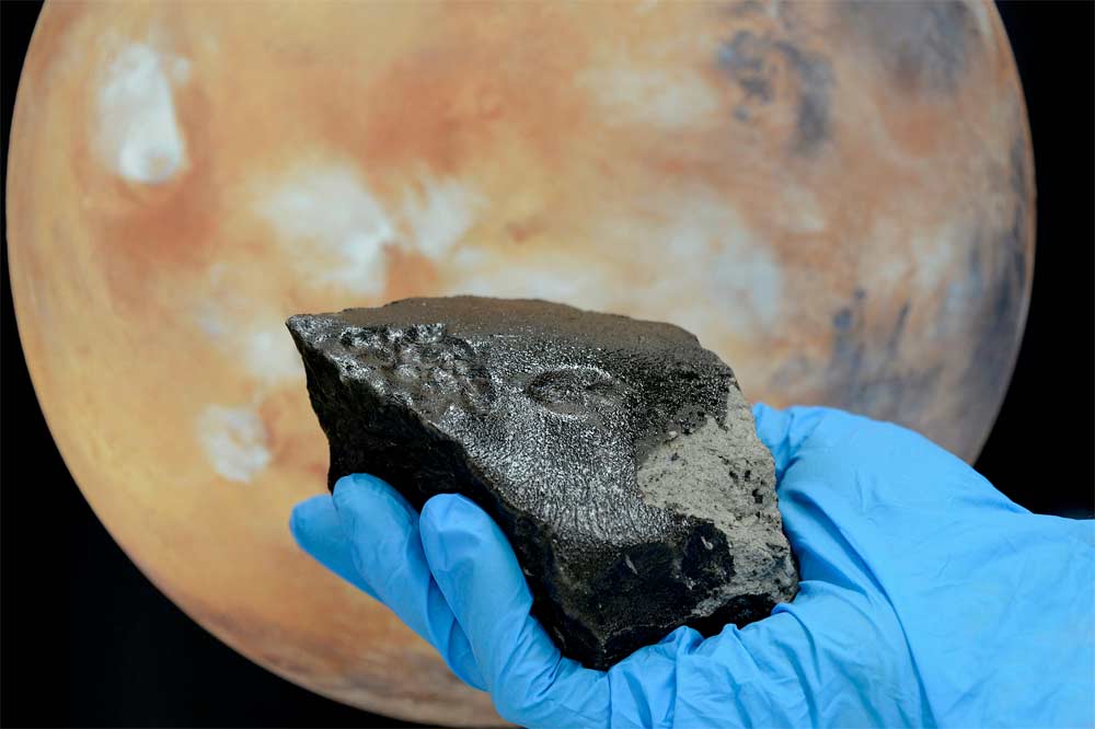 Black Beauty & Mars (Credit: Natural History Museum, London)