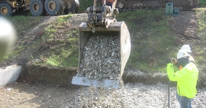 Crushed oyster shells being loaded into bioswale - (Photo by Port of Seattle)