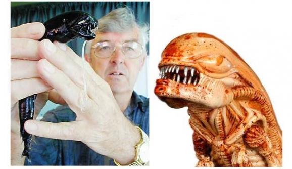 black dragonfish
