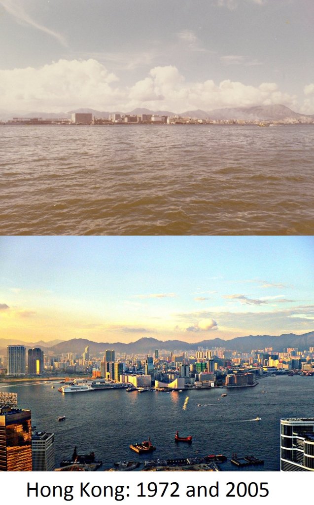 Wolfiewolf on flickr