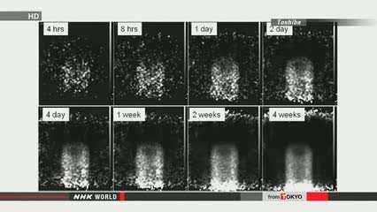 Time-lapse of the reactor pressure vessel scan resolving as more muons are tracked through it - (Image via NHK)
