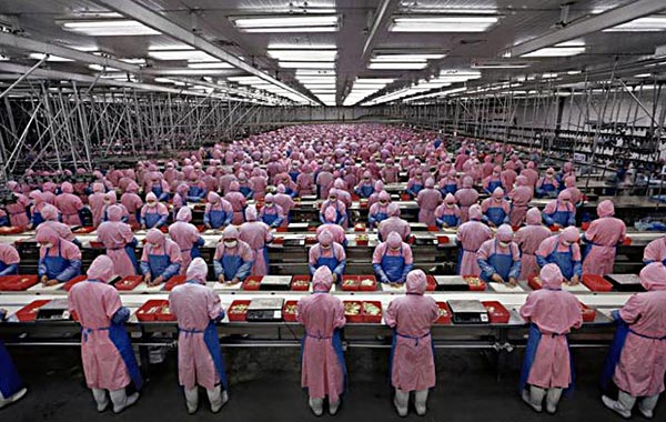 Hon Hai to shift more production to robotics