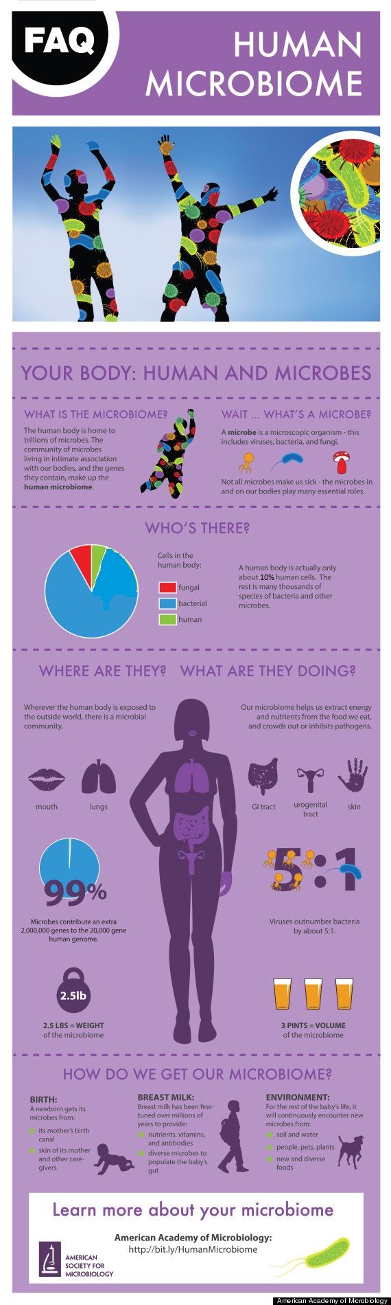 Image via American Academy of Microbiology