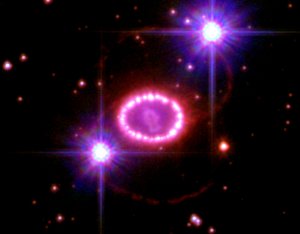 Type II supernovae
