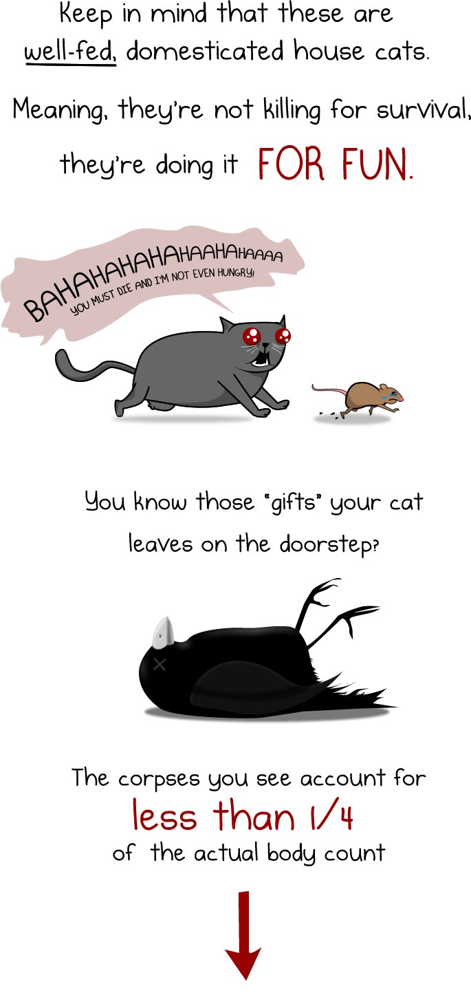 cats 2