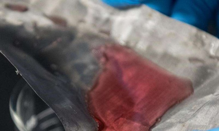 Scientists develop mesh that captures oil-but lets water through