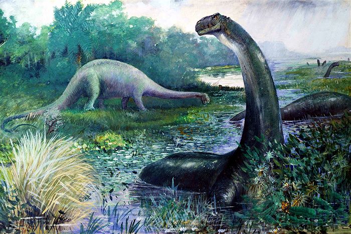 brontosaurus 