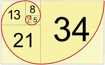 fibonacci spiral