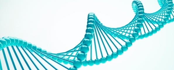 dna white bg