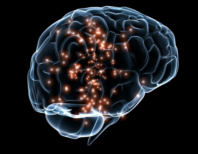 Precursor to Mind-Reading Technology, Researchers Reconstruct Sentences From Decoded Brain Activity