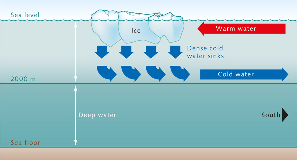 convection current