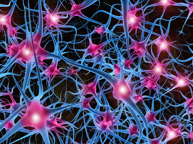 Biggest Neural Network Ever Pushes AI Deep Learning