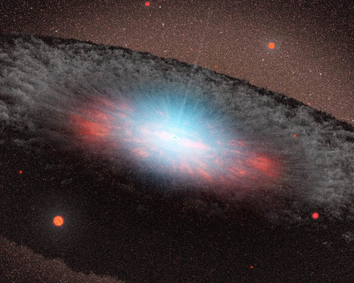 Hidden Supermassive Black Holes Detected Throughout the Universe