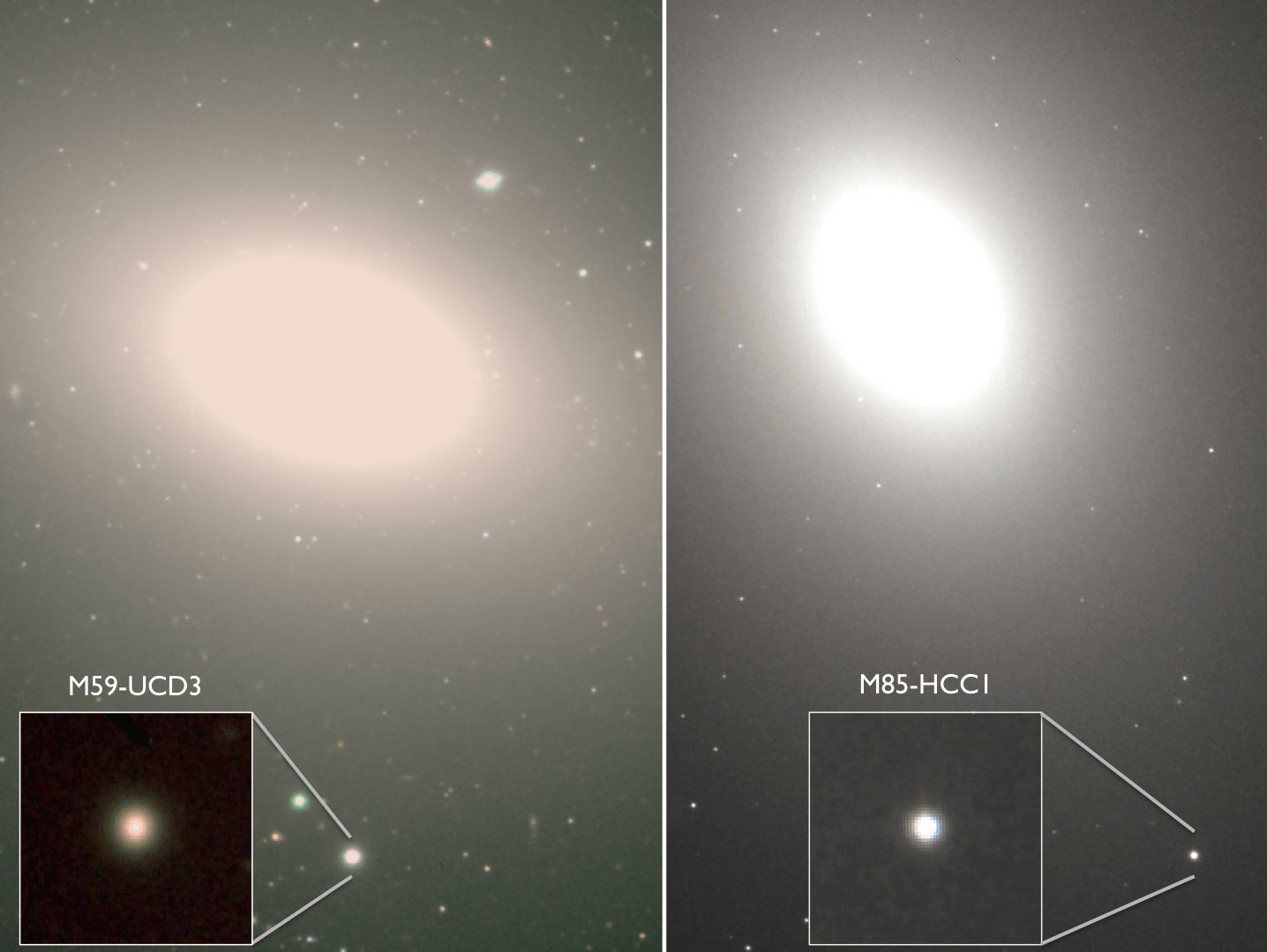 Ultracompact Dwarf Galaxy