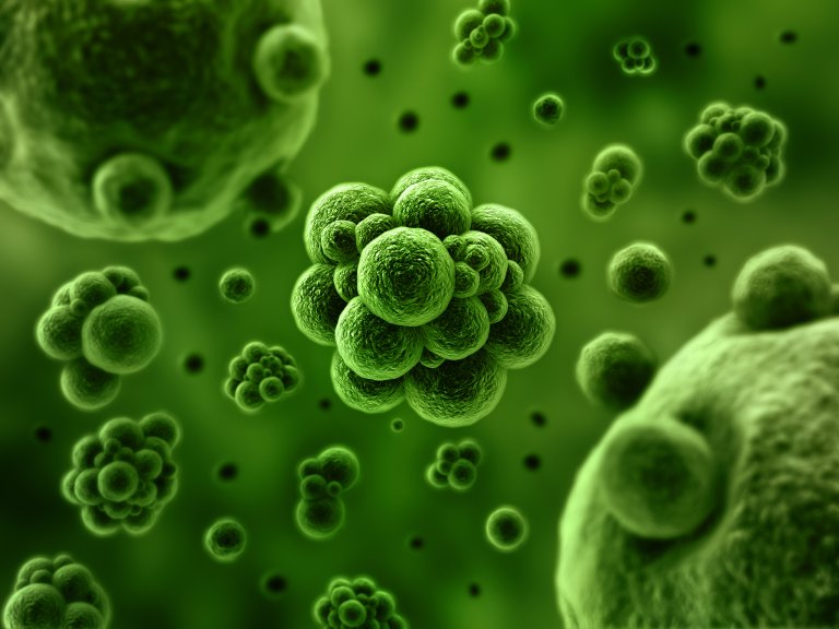 A Cure for Diabetes? Staph Bacteria Identified as Potential Cause