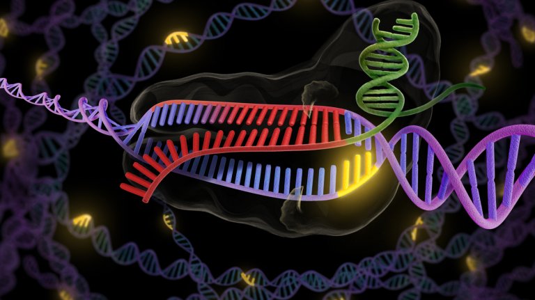 Desktop Genetics: Now You Can Do Genetic Engineering Without Ever Entering a Lab