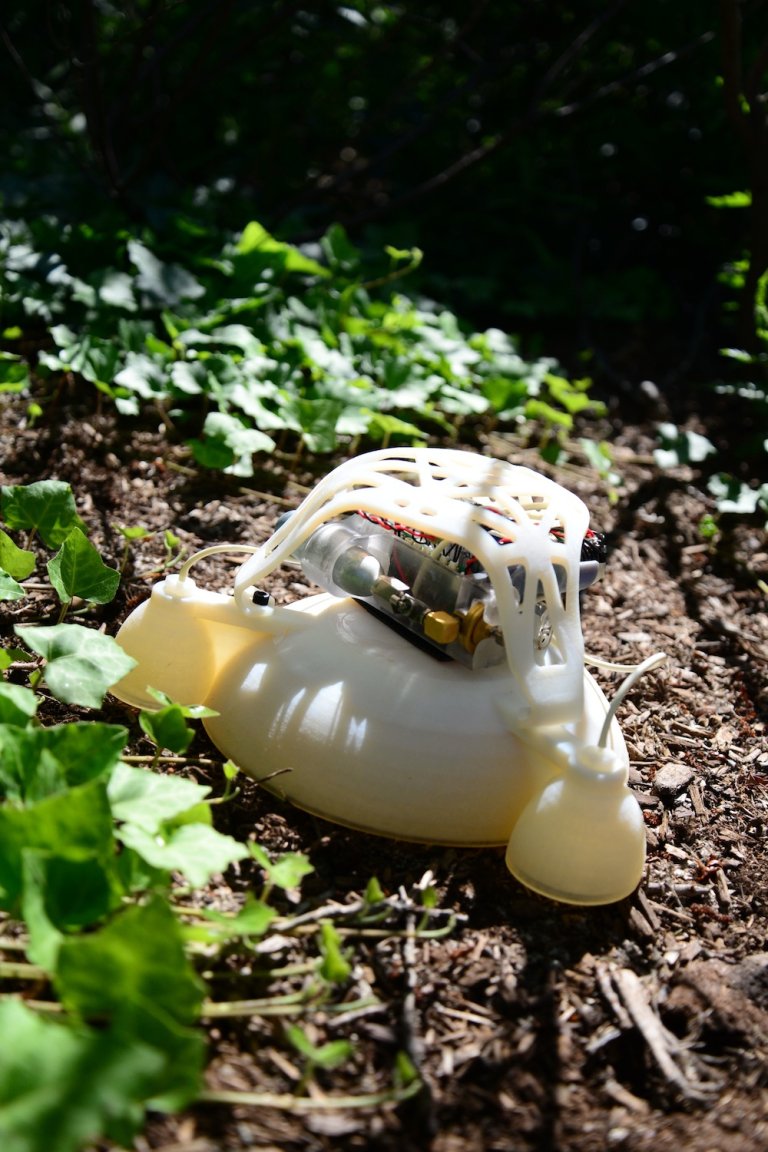 New Hybrid Robot Has Soft ‘Skin’ But Hard ‘Guts’