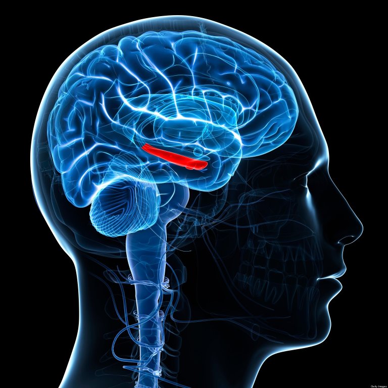 Brain Activity While Dreaming Can Predict Latent Actions