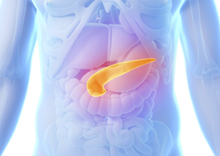 Implantable ‘artificial pancreas’ could help diabetes patients control their blood sugar