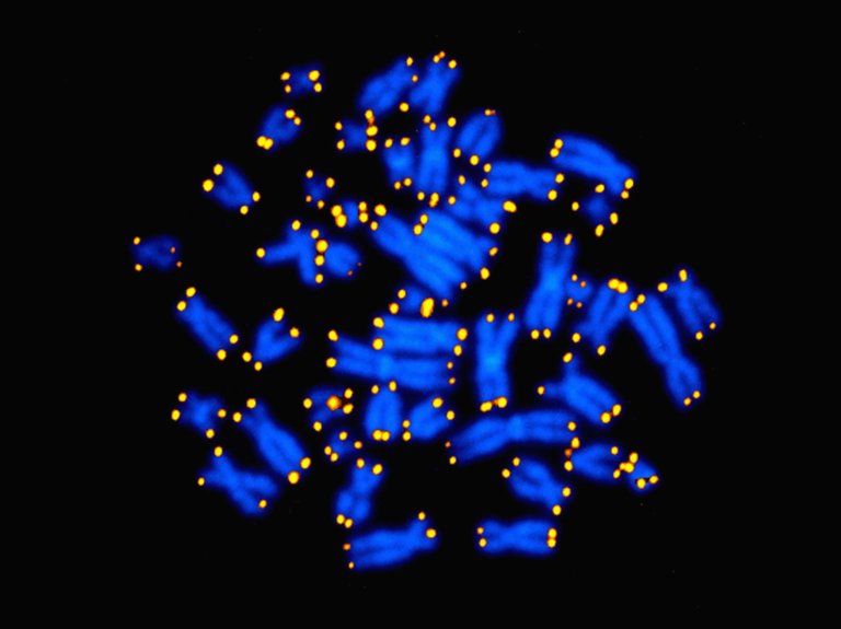 Does Your Body Feel Older than It Actually Is? New Test Can Determine Biological Age