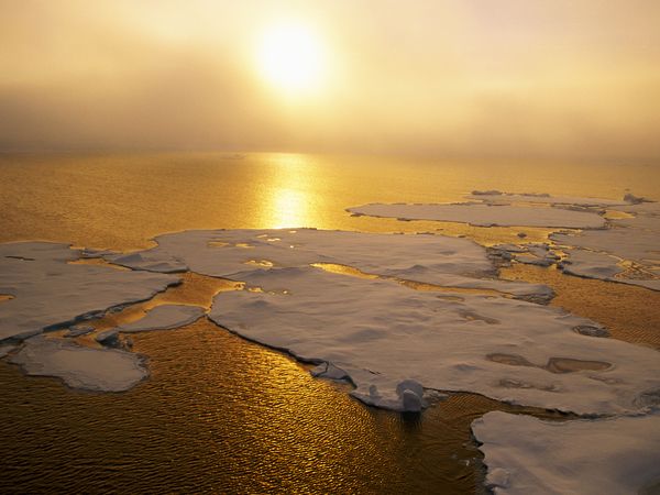 International Report Confirms: 2014 Was Earth’s Warmest Year on Record