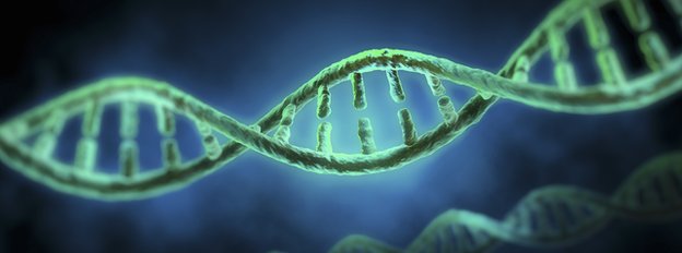 DNA_stock