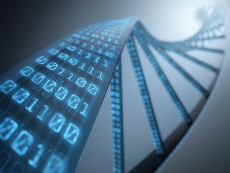 Scientists Prove that DNA is More Efficient than Computers in Data Storage