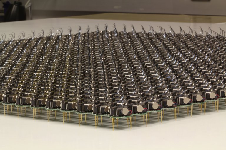Artificially Evolved Robots Can Self-Organize Their Tasks