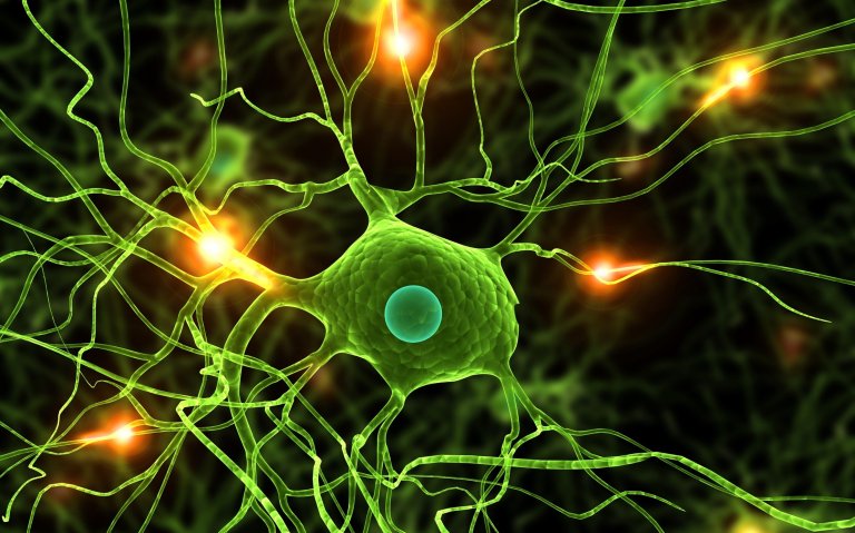 The Nature of Reality: How Much of Our Life is Just a “Simulation”?