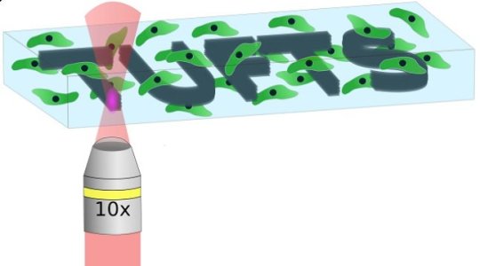 Ultrafast laser technology allows for the creation of high-resolution 3D structures