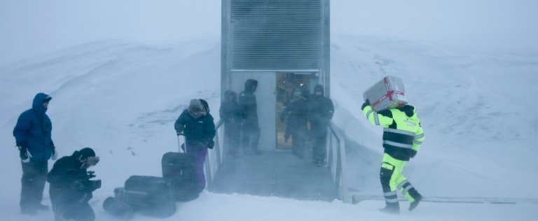 Seeds have been withdrawn from the arctic “doomsday” vault for the first time