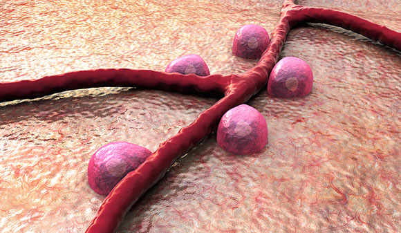 This new platform allows scientists to observe metabolism