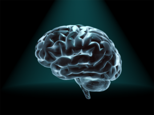 Researchers develop brain implant for improving memory