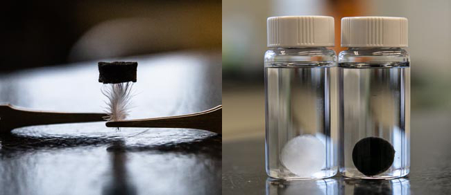 Scientists can use cellulose to build efficient and long-lasting energy storage devices