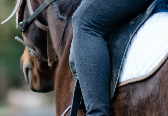 This device lets a disabled person ride a horse on their own