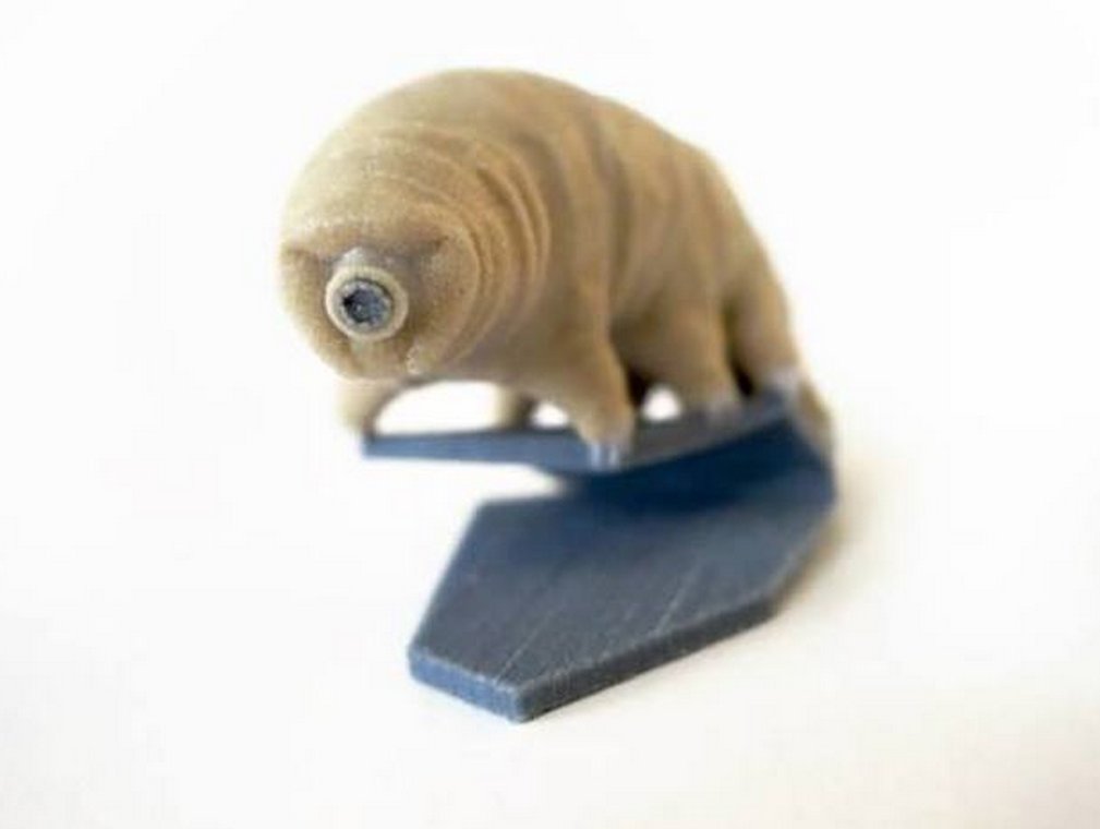 tardigrade 3d printed