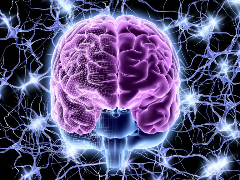 This New Drug Rejuvenates Aging Brains and Muscles