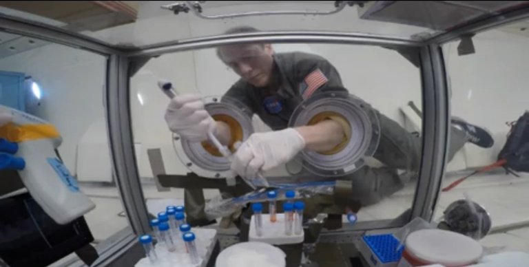 Geneticists have successfully performed genome sequencing in zero gravity